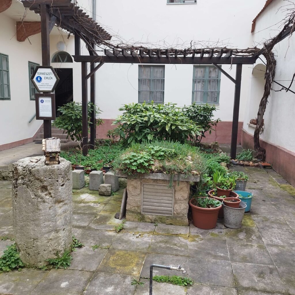 MNB óvóhely szellőző